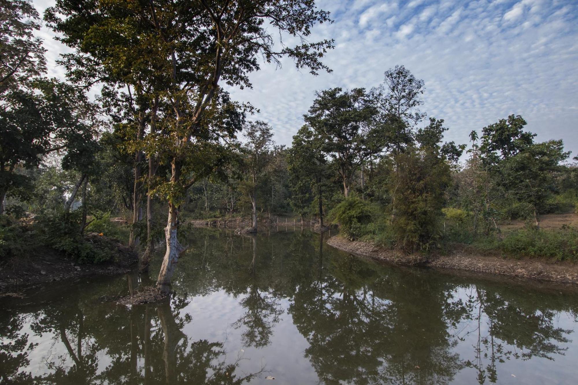 Wowstayz Pachmarhi Ecotel Exterior foto